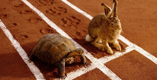 کچھوے اور خرگوش کی کہانی (نئے انداز سے)