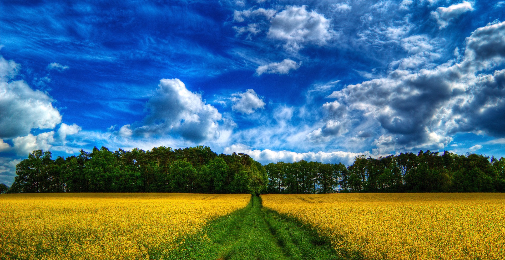 معاشی پسماندگی! اسباب و سد باب