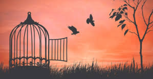 آزادی کا حقیقی مفہوم اور پاکستانی سماج