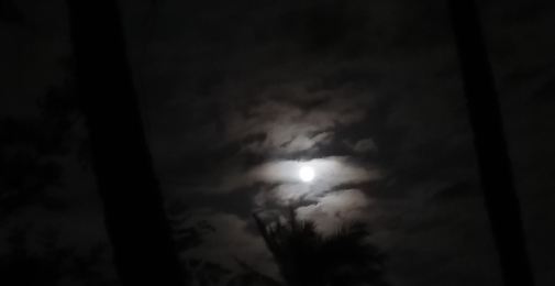 سیاست کیوں ضروری ہے؟