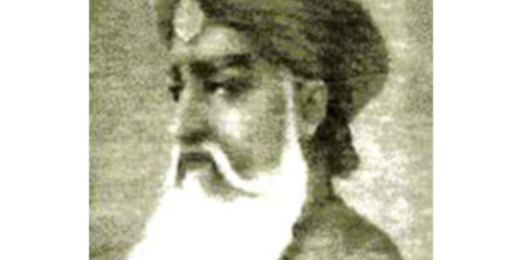 شاہ ولی اللہ کی خدمات