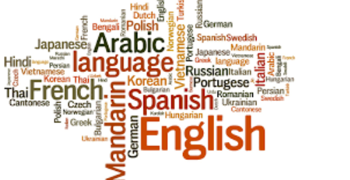 ملکی ترقی کے لیے قومی زبان کی اہمیت اور مروجہ نظام تعلیم