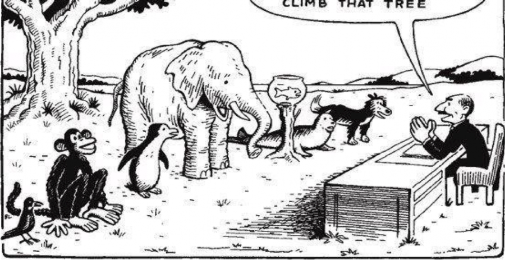 سماجی ترقی میں حائل کالونیل دور کا مرتب شدہ نظام تعلیم ؛ایک جائزہ