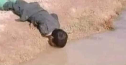 فرعونی سیاسی نظام ایک جائزہ