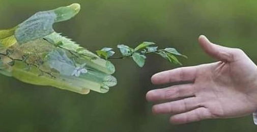 اہلِ شعور کی صحبت