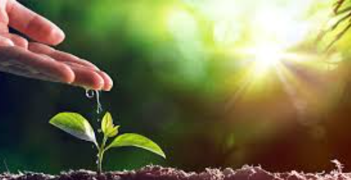 انسان کے ذہنی اور روحانی نشوونما کے لیے موزوں ماحول کی ناگزیریت