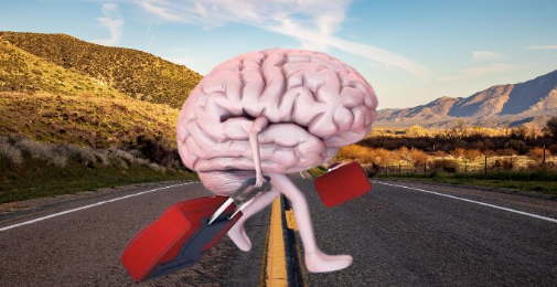 برین ڈرین اور ریاست کا کردار