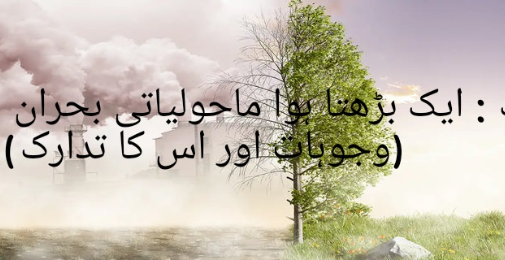 سموگ : ایک بڑھتا ہوا ماحولیاتی بحران (وجوہات اور اس کا تدارک)